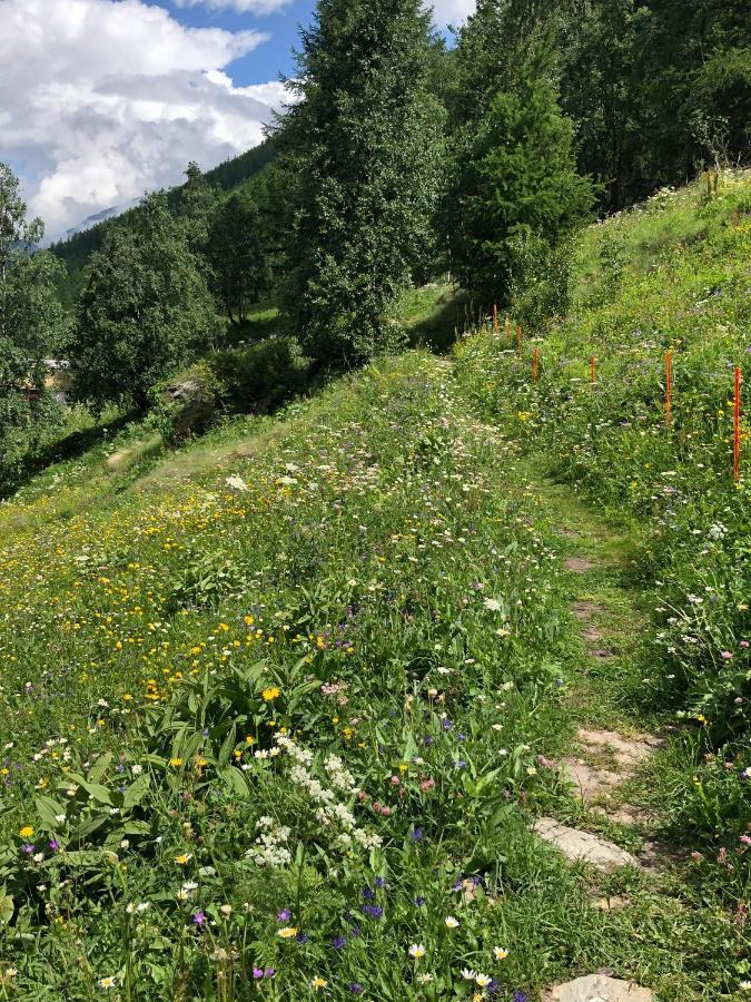 Hotel Adler Saas-Grund Eksteriør billede